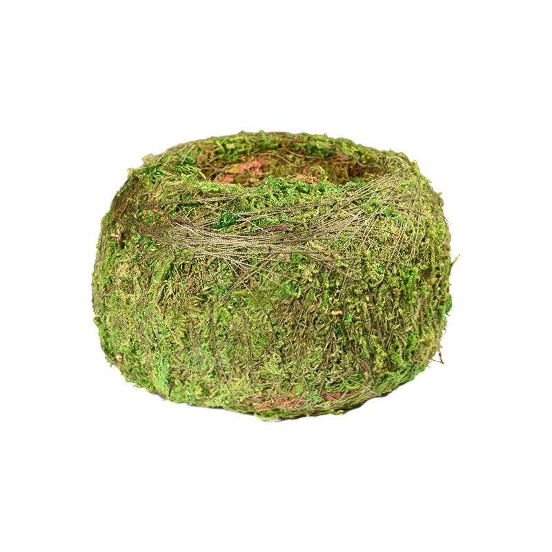 苔藓球绿植盆栽文竹米蕨类