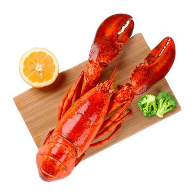 波士顿龙虾特级大号即食