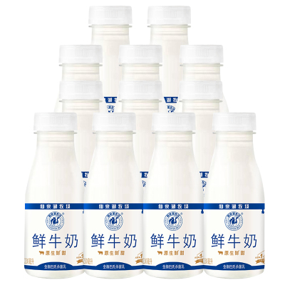 风行牛奶仙泉湖牧场3.3g乳蛋白