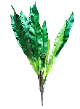 大号仿真绿植爬虫箱蛙造景