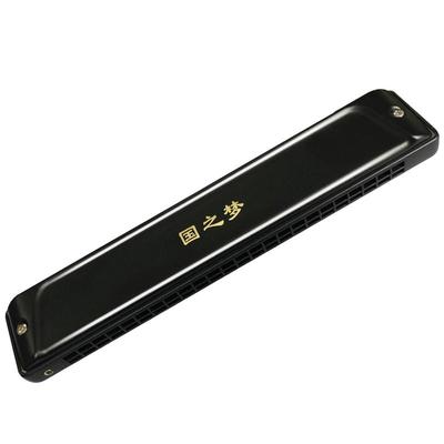 国光口琴国之梦演奏级12大调可选