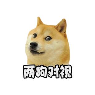 两狗对视汽车反光贴宠物搞笑车贴定制磁吸汽车车尾实习贴新手上路