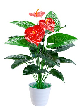 仿真植物金钱树客厅落地盆景花红