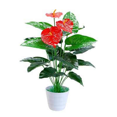 仿真植物金钱树客厅落地盆景花红