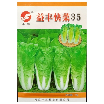 丰邦益丰快菜35种子奶白菜10克