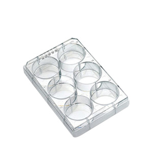 Corning康宁6孔12孔24孔细胞小室 transwell 0.4/3/5/8um聚碳酸酯PC膜嵌套 3422 3421 3428 3415 3401 3412