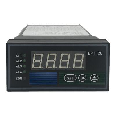 智能显示仪表DPI-20DPI-21