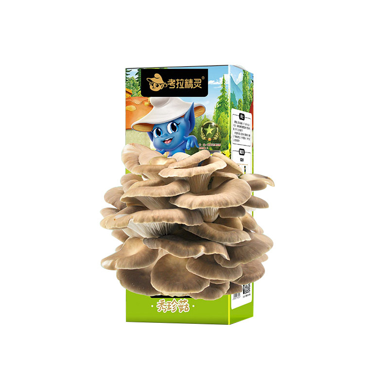 非常容易观赏食用都可蘑菇菌