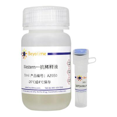 碧云天GAPDH小鼠单克隆抗体