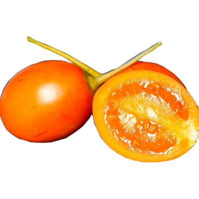 顺丰可选现货大树番茄5斤新鲜洋酸茄云南特产蔬菜水果鸡蛋西红柿