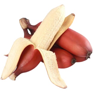 福建红美人香蕉现摘正宗新鲜小米蕉10斤当季水果自热熟粉蕉红皮蕉