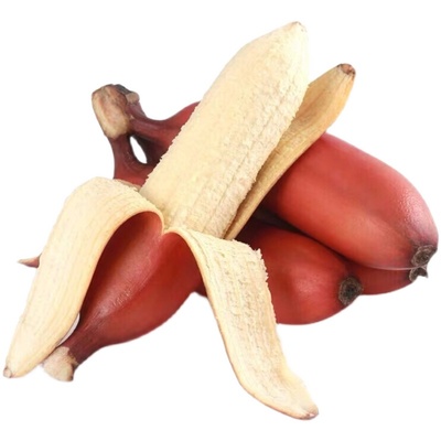 世界十大水果之一红美人香蕉