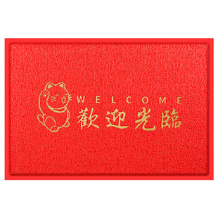 欢迎光临入户进门口地脚垫丝圈防滑店铺开业迎宾商用电梯地毯定制