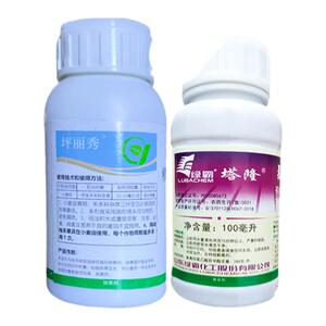 坪丽秀小麦田一年生禾本科杂草