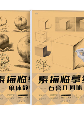 素描临摹纸石膏几何体单体静物画本形体结构零基础学入门照片临摹范本画册画画绘画初级高考联考美术教材教学