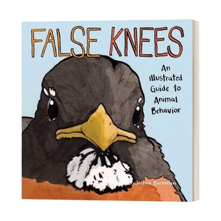 英文原版 False Knees 我能有什么坏心思呢 英文版 爆红漫画系列 短篇荒诞幽默搞笑作品集 进口英语原版书籍