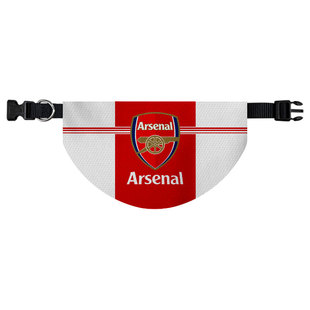 英超纽卡斯尔联曼联阿森纳曼城切尔西宠物口水巾狗狗猫咪围脖围兜