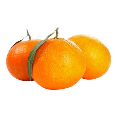 正宗临海涌泉蜜桔10斤黄岩蜜橘当季新鲜现摘孕妇水果整箱无核橘子