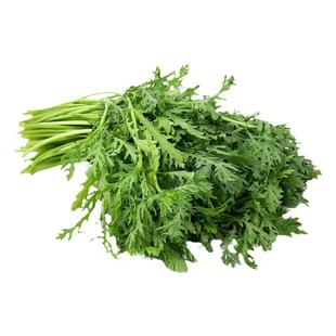 小叶茼蒿种子茼蒿菜种籽光杆茼蒿菜籽蒿子秆籽清香高杆皇帝菜种孑