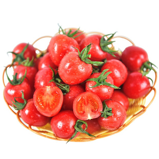 超甜圣女果种子千禧樱桃黑番茄种籽西红柿阳台盆栽水果蔬菜种孑苗