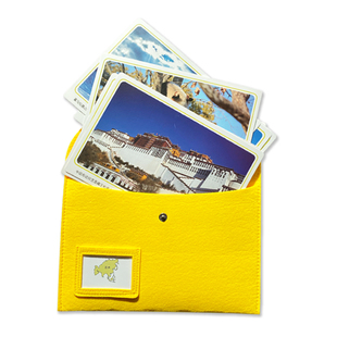 AMI地理封套 蒙氏幼儿园语言中英文七大洲主题儿童卡片认知卡地图