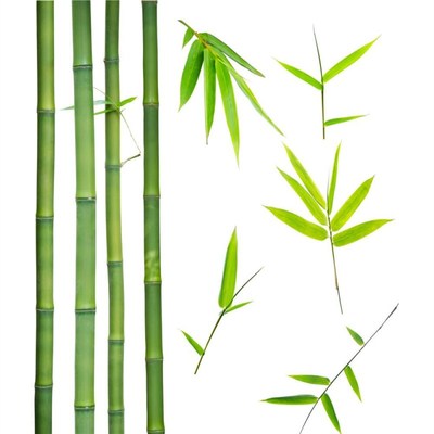 天然长竹杆1米2米3米4米5米6米竹竿粗竹竿毛竹杆旗杆跳舞杆婚庆