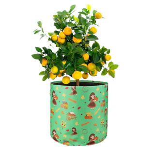 bloombgz20加仑布袋花盆特大种树袋户外庭院果树美植袋加厚种树盆