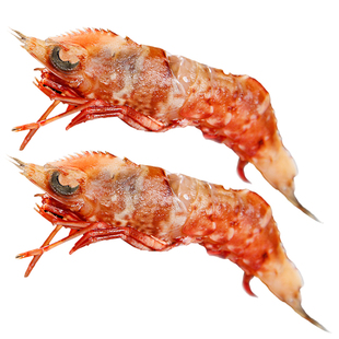 活冻生腌鸡冠虾冷冻大头高脊赤虾东山岛海鲜刺身樱花虾顺丰冷链