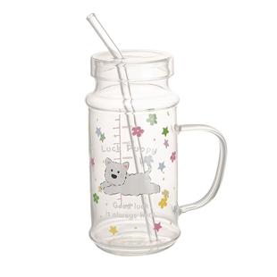 摩登主妇高硼硅玻璃杯大容量高颜值水杯果汁杯耐高温带盖吸管杯子