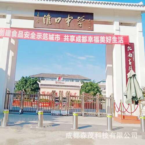 全自动液压升降柱远程不锈钢路桩防冲撞景区古镇提升改造防撞柱