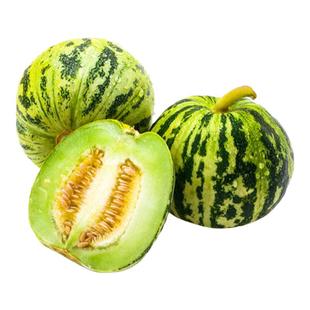 特大甜瓜香瓜种子种籽孑黑面瓜黄四季甜掉牙羊角酥蜜牛角蜜瓜大全