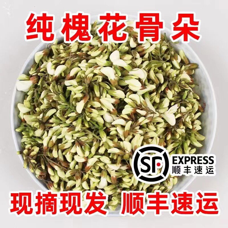 新鲜洋槐花2026年现摘鲜槐花天然野生槐花骨朵杨槐花刺槐花