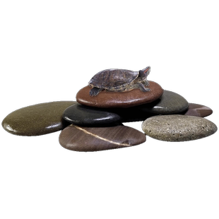 乌龟晒台天然原生造景用品鹅卵石乌龟缸扁平晒背爬台休息石头躲避