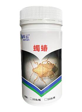 科云蠋蝽天敌昆虫生物防治菜青虫