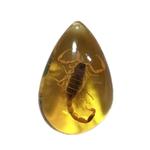 琥珀昆虫标本小学课本科普虫珀树脂摆件蝴蝶螃蟹创意吊坠儿童礼物