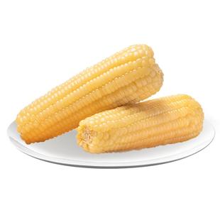 析芮白糯玉米250g*20根 真空东北软糯香甜甜黏玉米粗粮