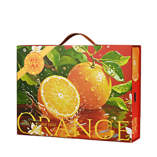 橙子礼盒包装盒空盒子通用冰糖橙脐橙耙耙柑包装箱手提水果礼品箱
