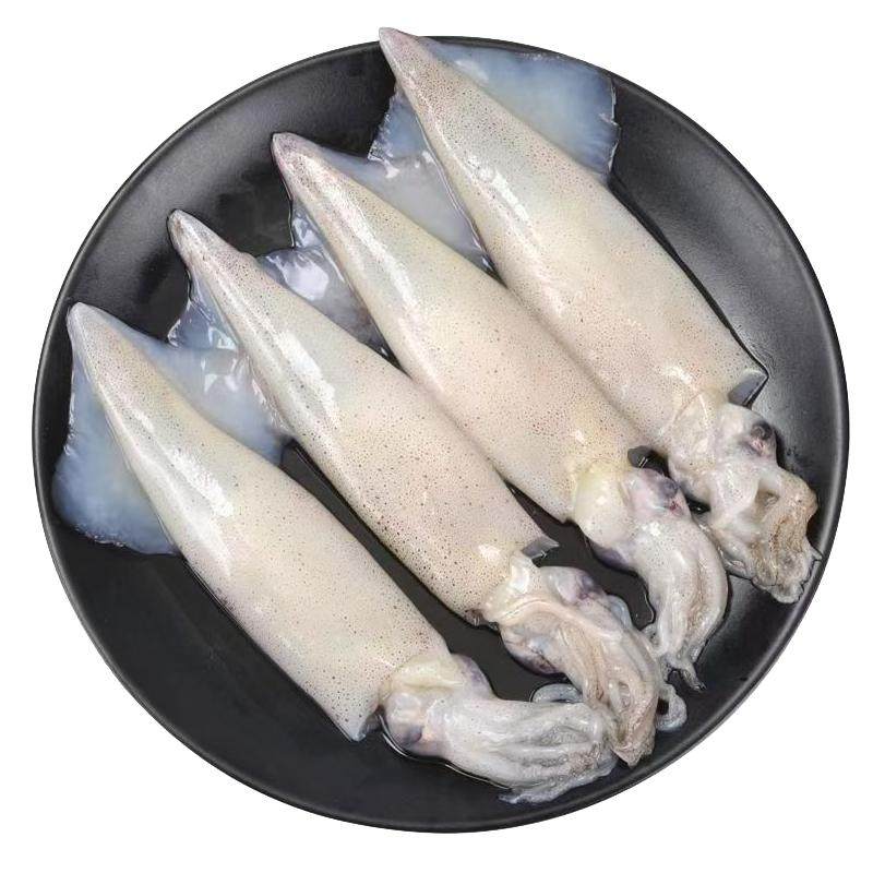 海兔子新鲜带籽籽乌鲜活笔管鱼冷冻满膏小鱿鱼仔火锅食材海鲜水产