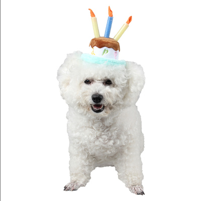 狗狗猫咪装饰生日帽水果蛋糕帽子