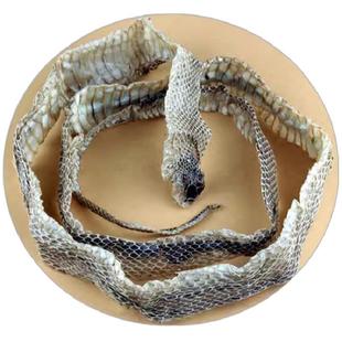 一整条有头有尾蛇蜕皮蛇蜕蛇退龙衣蛇皮长虫皮青龙衣蛇壳中药材店