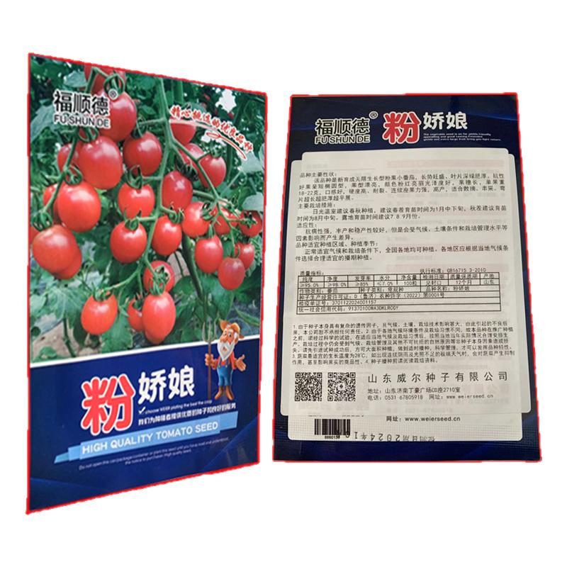 四季早熟矮生盆栽番茄种子