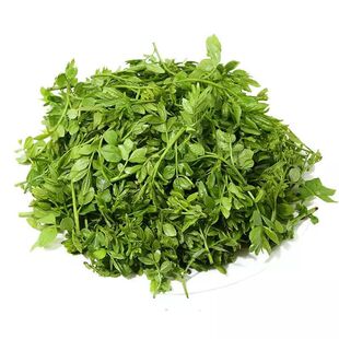 【新货】花椒芽新鲜口感花椒叶山野菜袋装含水花椒嫩芽炒拌涮做馅