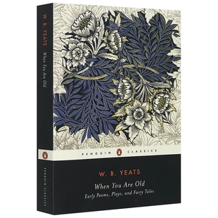 When You Are Old Early Poems 英文原版 叶芝诗集当你老了 企鹅经典 获诺贝尔奖 获奖作者经典代表作 英文版