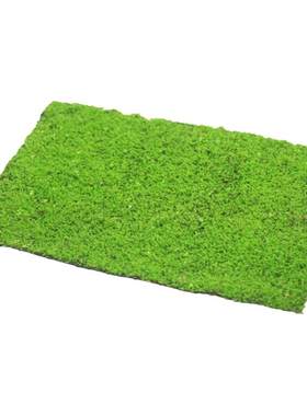 高品质人工苔藓应用广泛造景铺面