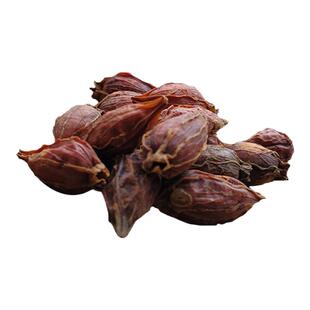 中药材农家自晒山黄果李山枝子栀子香料干货500g卤料中草药材