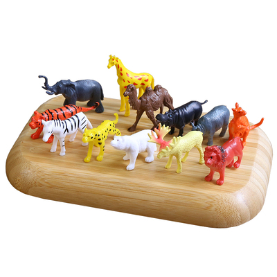 野生海洋小恐龙农场蜥蜴昆虫