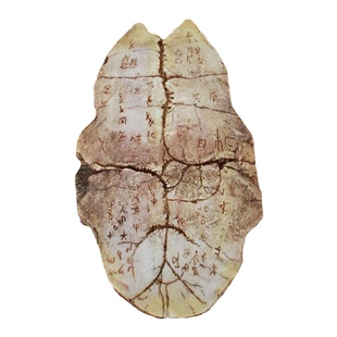 殷墟甲骨 疾病起源 博物馆文物仿真复原中医馆摆件中医药文化装饰