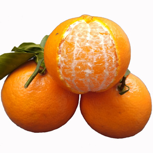 皇帝柑正宗德庆贡柑新鲜特级大果整箱当季水果黄帝橙橘子10斤礼盒
