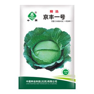 农科院京丰一号扁甘蓝种子包心圆白菜种籽洋白菜蔬菜种孑