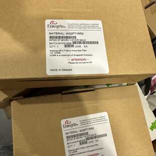 议价真空过滤器ENTEGRIS英特格过滤器WG2FT1RR2 现